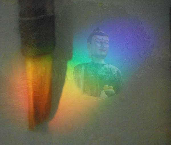 Rainbow Buddha Brush